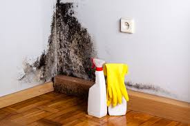 Best Industrial Mold Remediation  in Eagle Point, OR